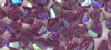 25, 4mm Amethyst AB Swarovski Bicone Beads